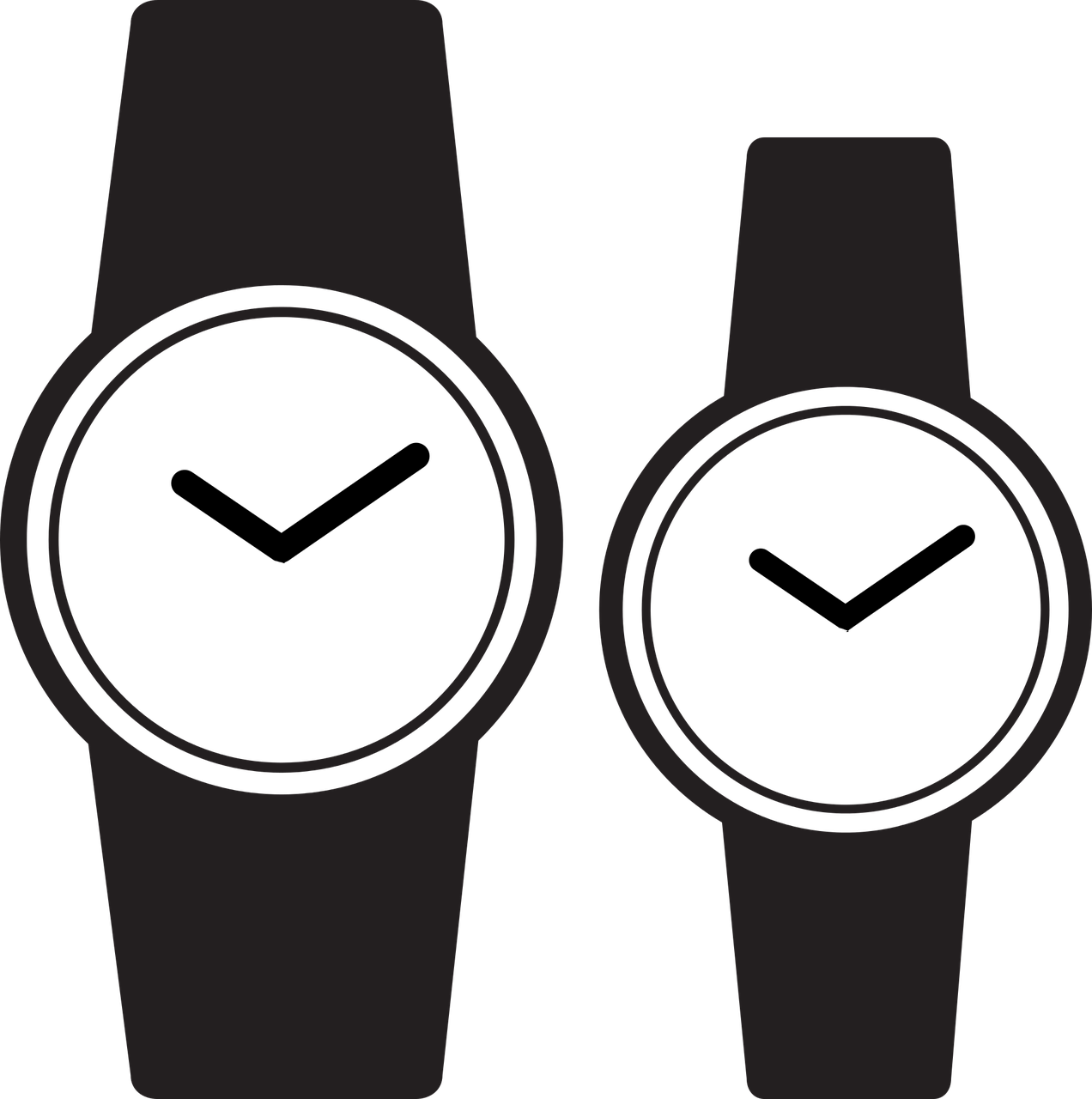 Exploring the Allure of Tommy Hilfiger Watches for Men