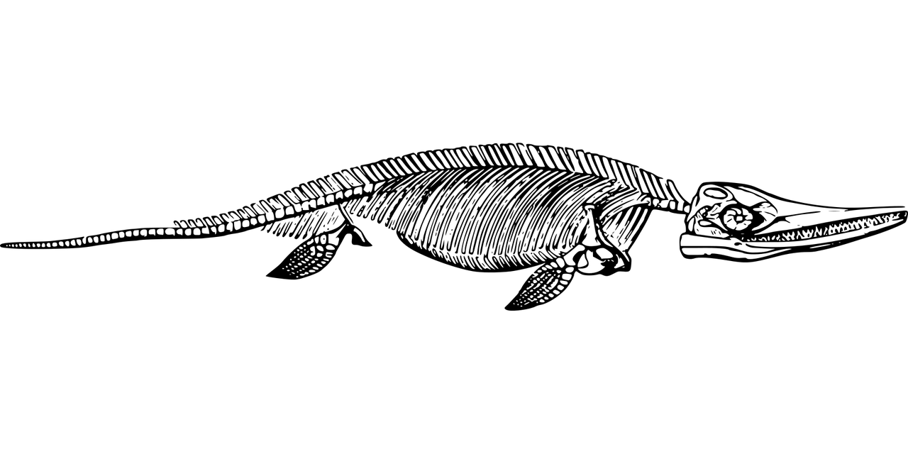 Fossil Watches for Men: A Reflection on Time and Style in Leather Fossil Watches for Men: A Reflection on Time and Style in Leather