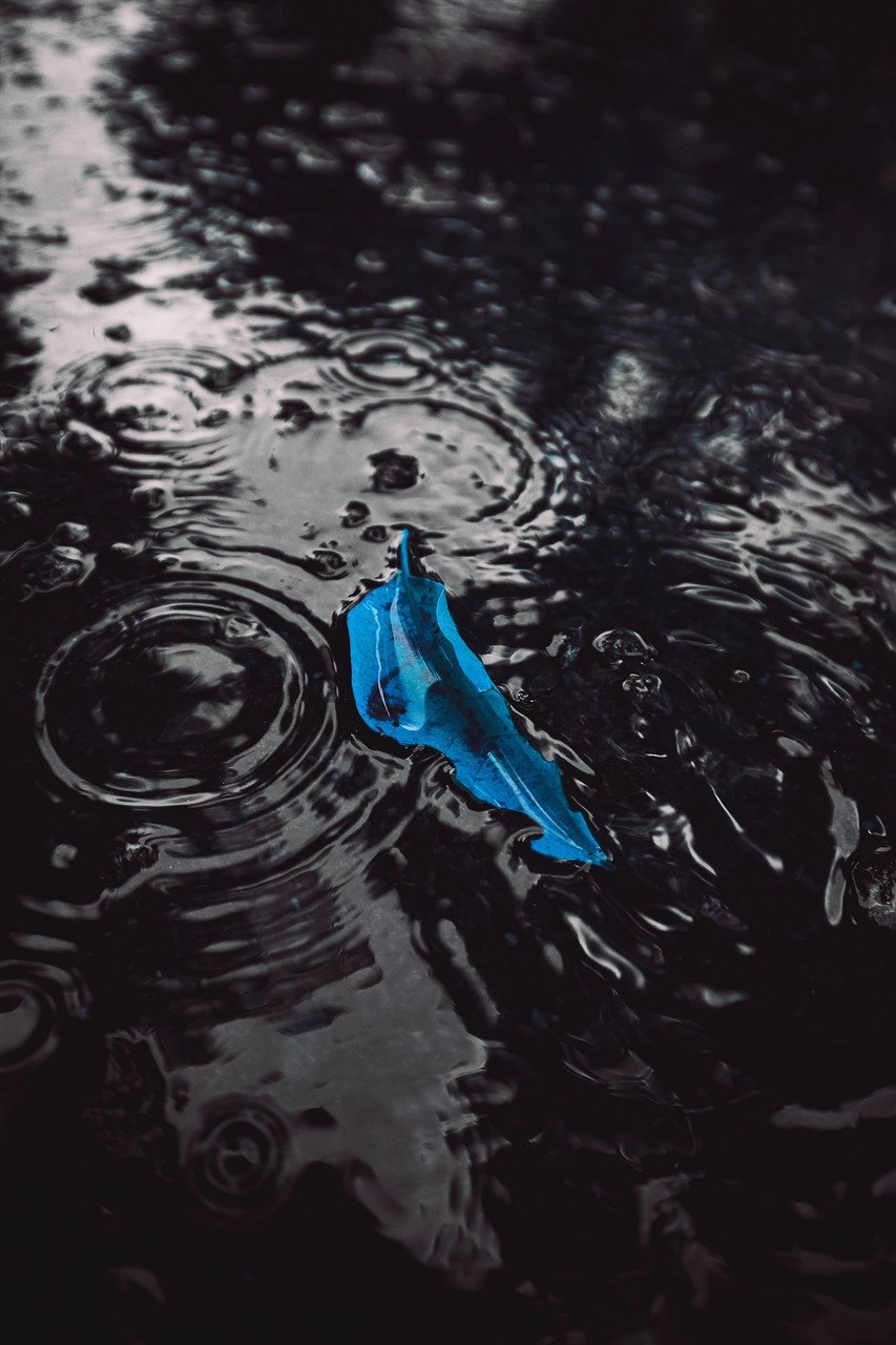 The Allure of Waterproof Digital Watches for Men The Allure of Waterproof Digital Watches for Men