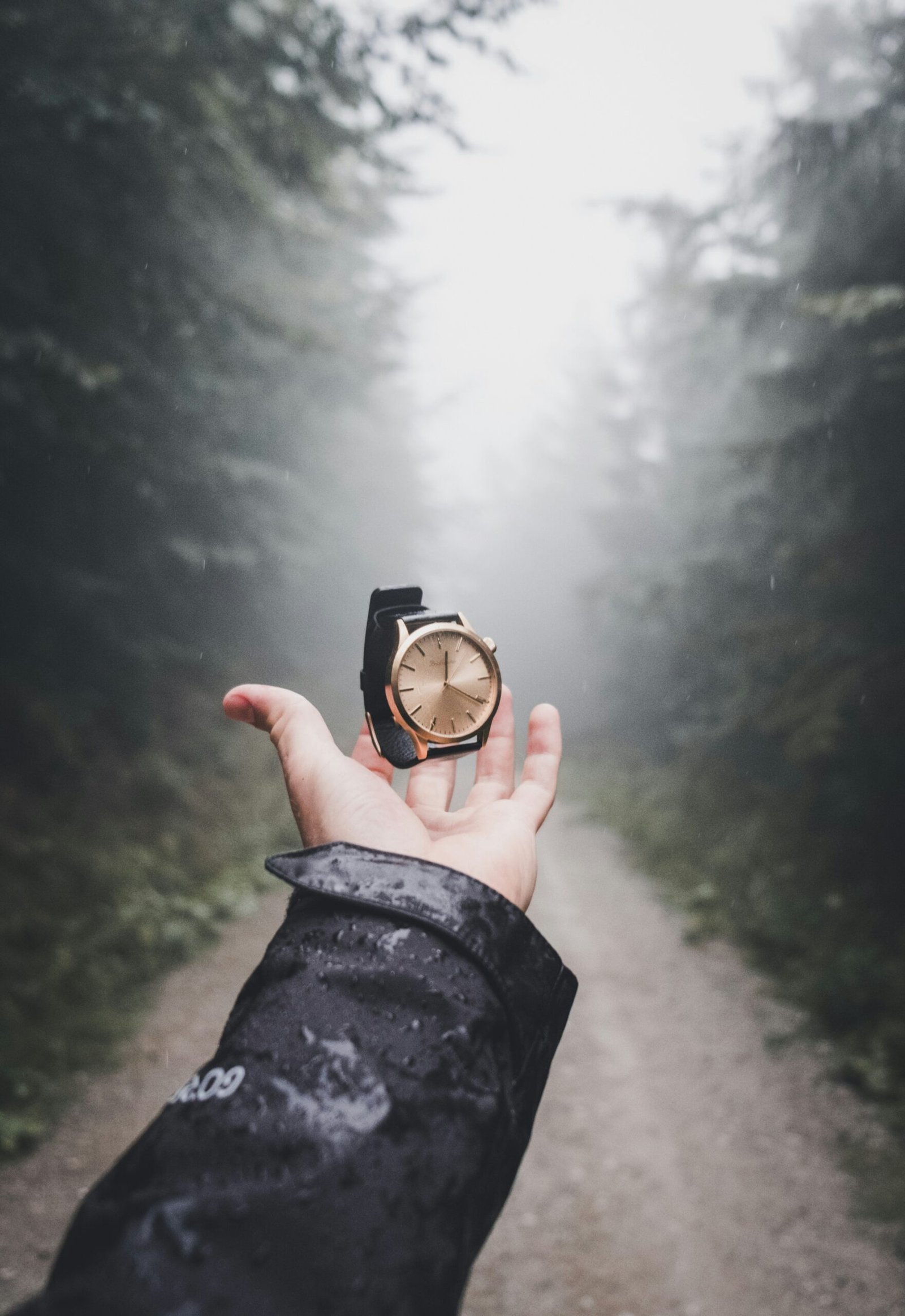 A Tale of Time: Exploring Esq Watches for Men