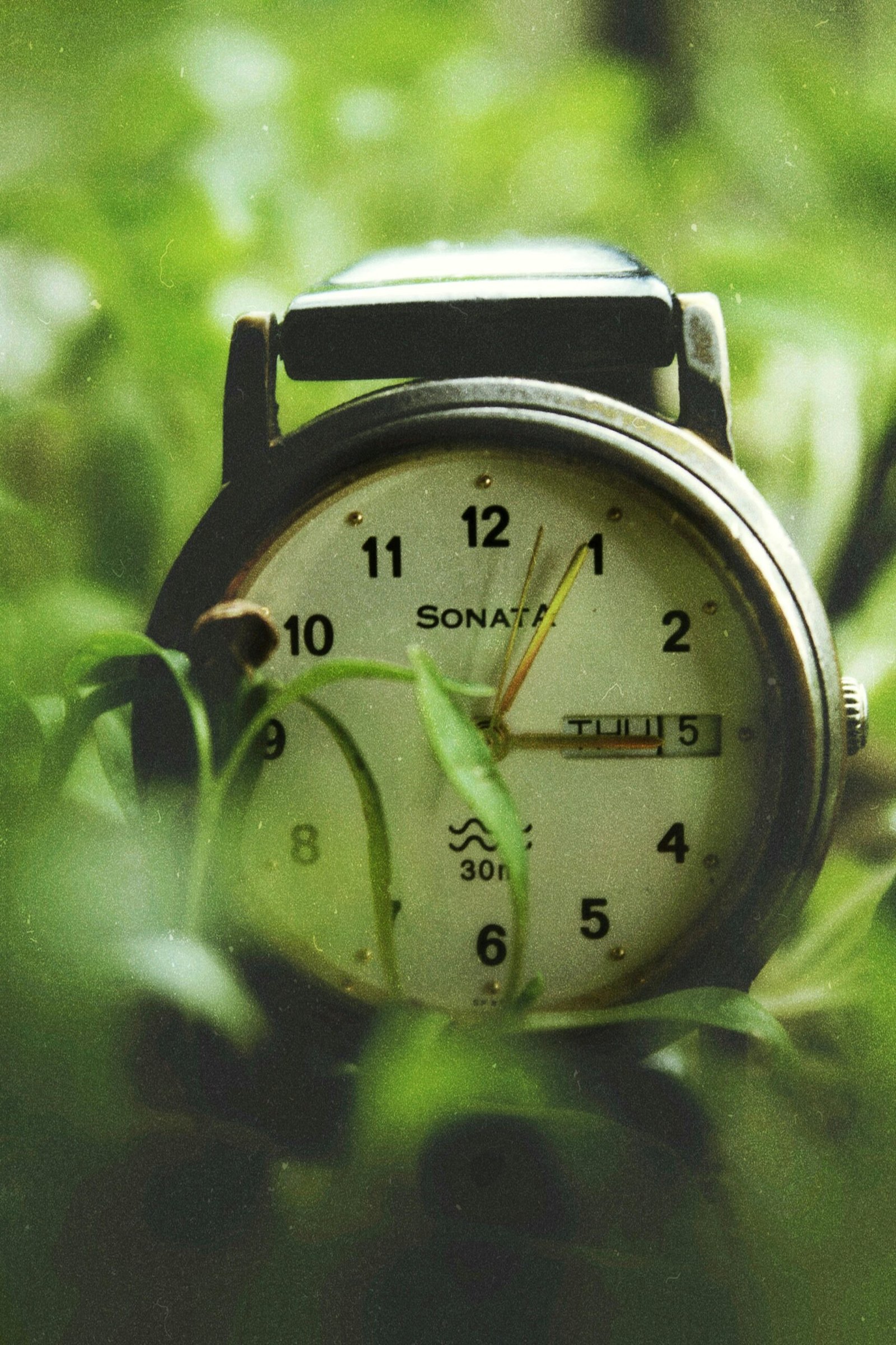 Exploring the Allure of Sonata Watches for Men