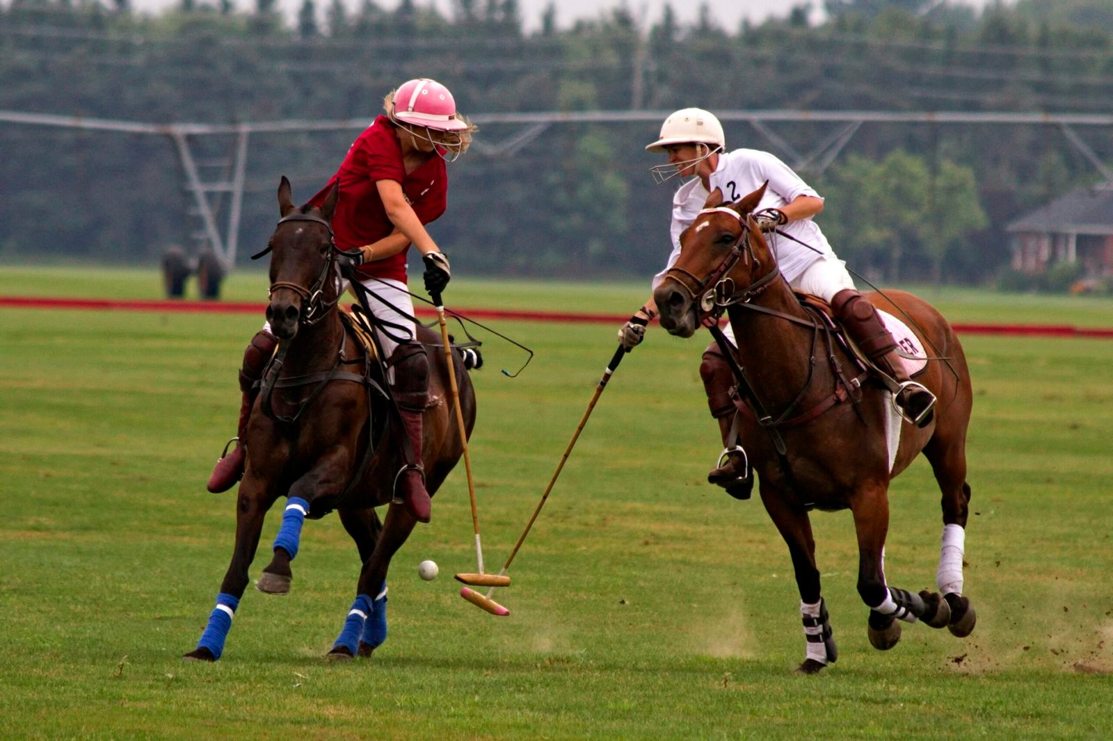 The Allure of Polo Watches for Men