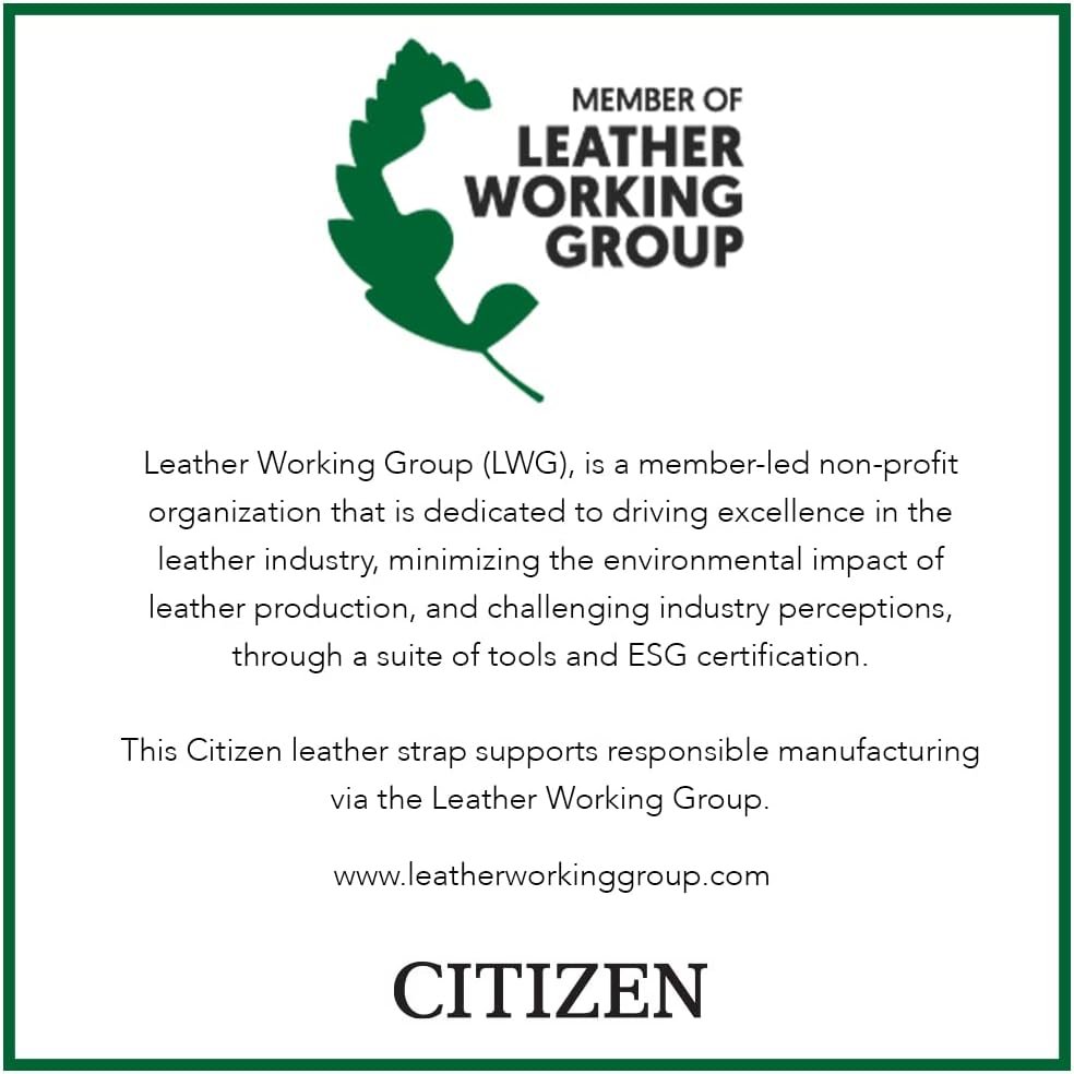 Citizen Mens Classic Eco-Drive Leather Strap Watch, Date, Luminous Hands and Markers, Black Dial, Black Strap/Stainless Steel Citizen Mens Classic Eco-Drive Leather Strap Watch, Date, Luminous Hands and Markers, Black Dial, Black Strap/Stainless Steel